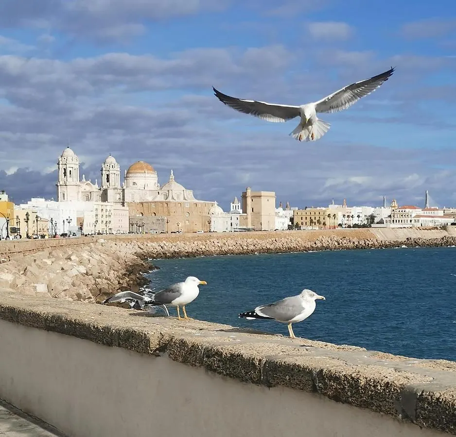 Apartamento Suite Caleta Cadiz